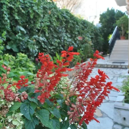 Dina Appartamento Agios Gordios (Corfu)